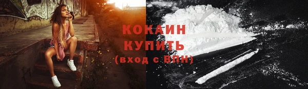 крисы Козловка