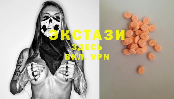 твердый Козельск