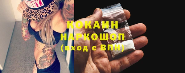 твердый Козельск