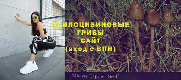 твердый Козельск