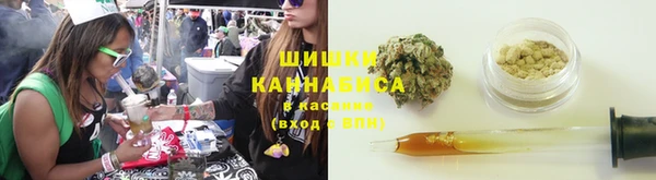 твердый Козельск