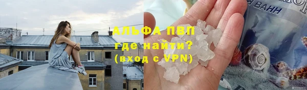 крисы Козловка