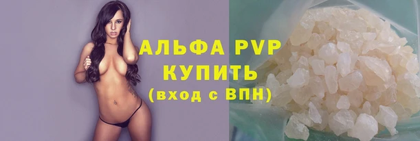 твердый Козельск