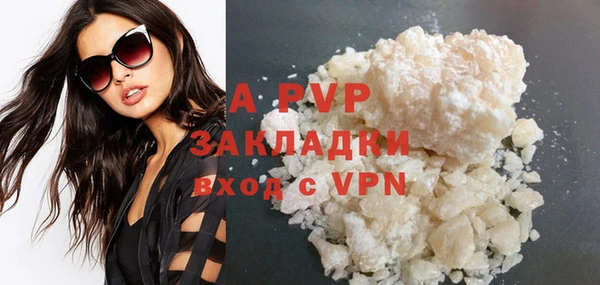 крисы Козловка