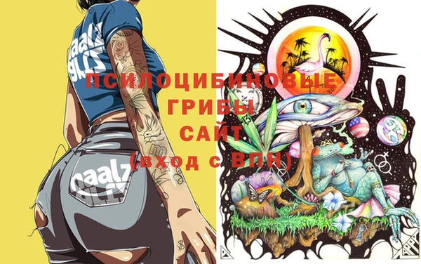 ешки Кодинск