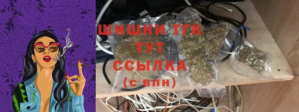 крисы Козловка