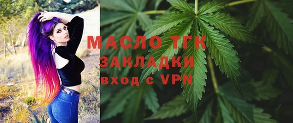 твердый Козельск