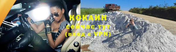 твердый Козельск