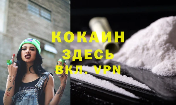 твердый Козельск