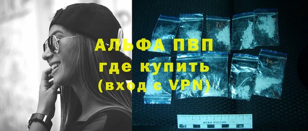 твердый Козельск
