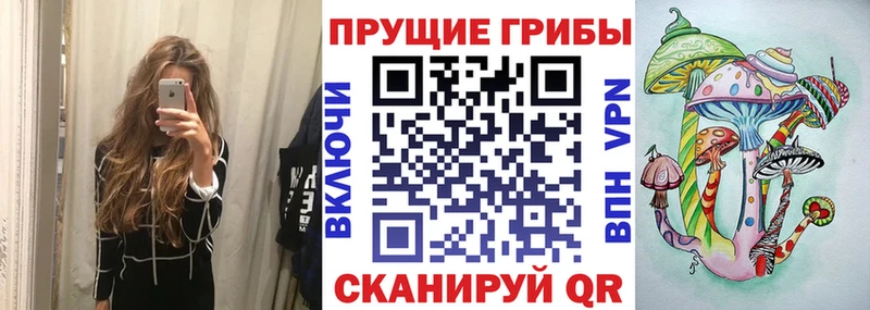 Купить закладки  Мариинск  Галлюциногенные грибы GOLDEN TEACHER 